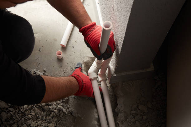 Best Local Plumber Services  in West Canton, NC